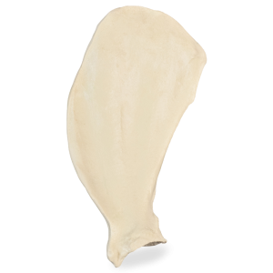 ESCÁPULA DIREITA - CÃO GRANDE PORTE - cód. AV500