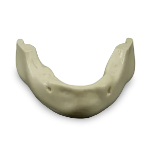 MANDÍBULA EDÊNTULA ANATÔMICA SLIM - cód. 12825