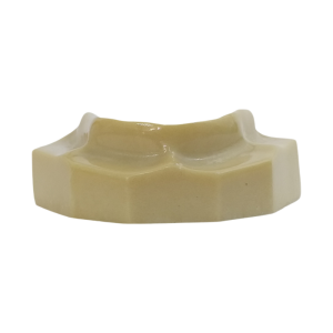 MAXILA EDÊNTULA - cód. 4210