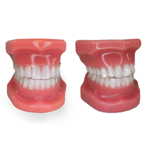 KIT DE MANEQUINS DEMONSTRATIVOS PARA ALINHADORES ORTODÔNTICOS